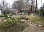Resim Saltukova'da Aile Çay Bahçesi Temizlik ve Restorasyon Çalışmaları Devam Ediyor